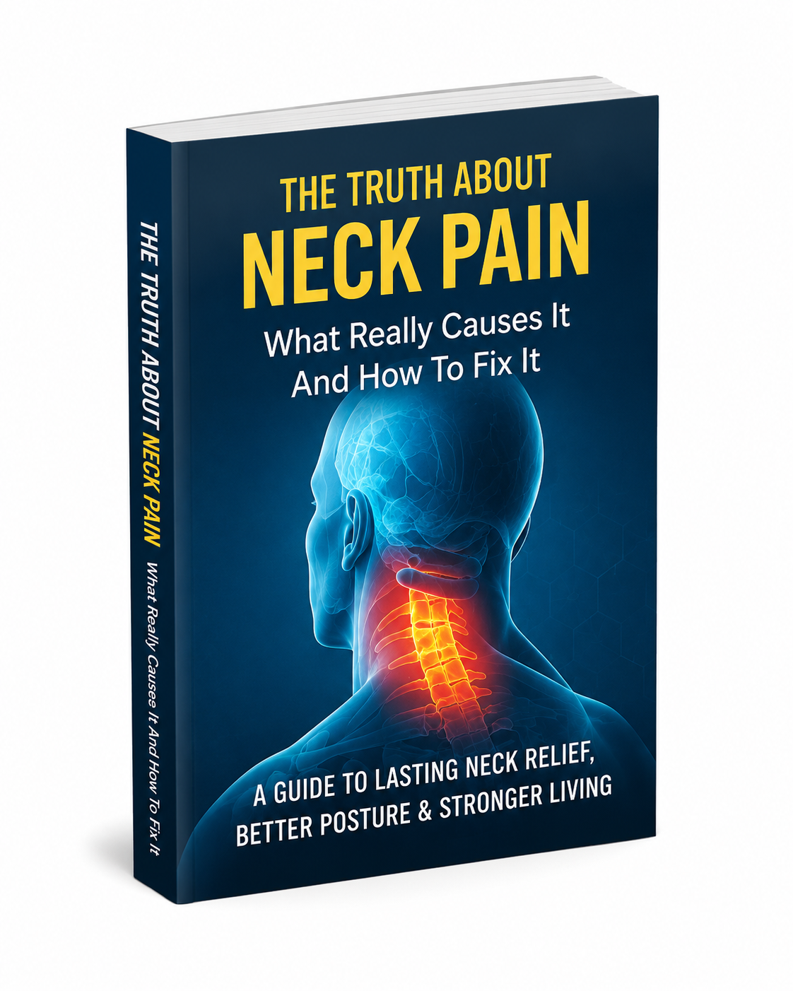 Physical Therapist’s Daily Plan